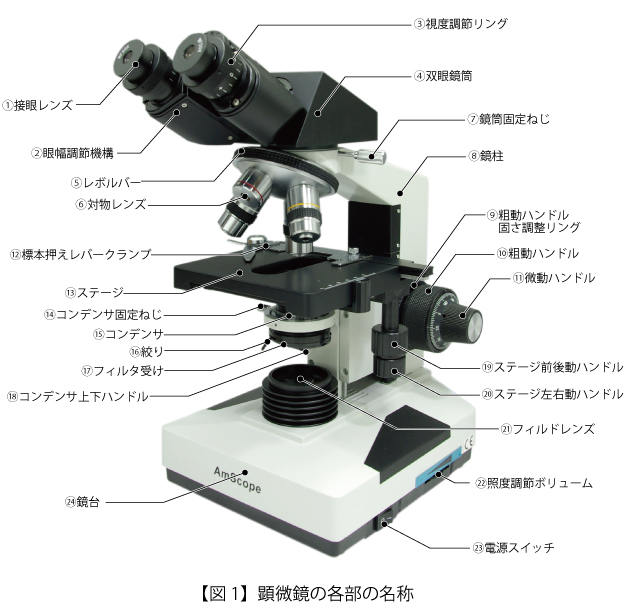 1 顕微鏡の各部の名称と働き マイクロスコープの専門店 リバーフィールド
